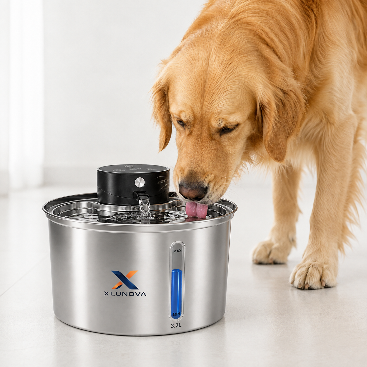 XLUNOVA Stainless Steel Cat Water Fountain